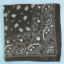 Bandana Paisley Print Satin Square Scarf: RD