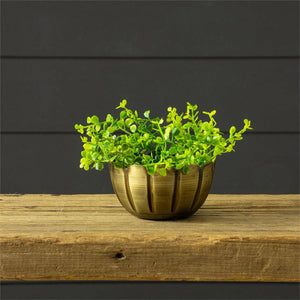 Scalloped Brass Mini Bowl (Pk/04)