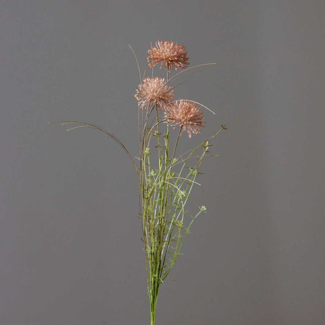 Branch - Mocha Allium (PK/2)